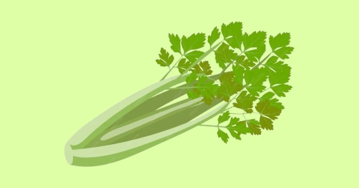 Stalks of Laughter: A Crispy Collection of Celery Puns and Jokes